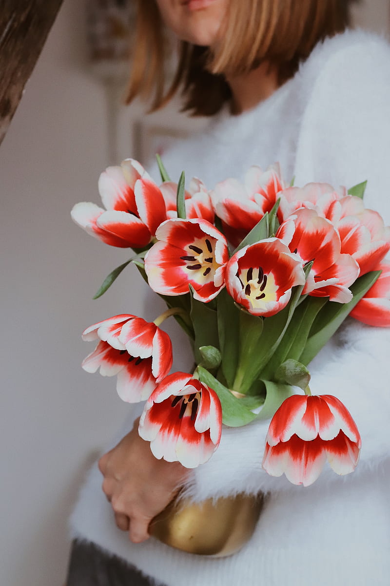 bouquet, tulips, red, flowers, HD phone wallpaper