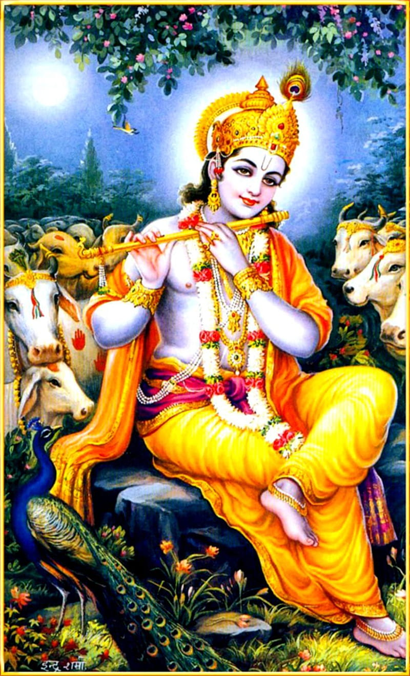 Lord Krishna, creator of everything, main of hindus, wonderful, HD ...