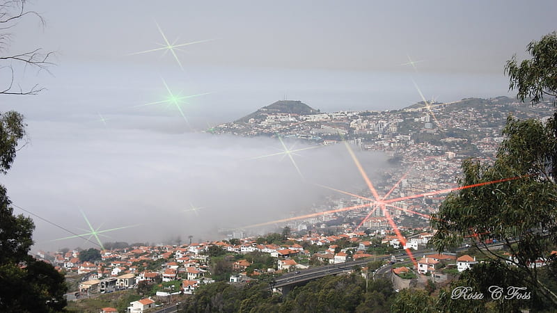Funchal, town, HD wallpaper
