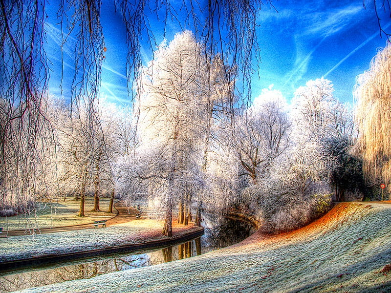 Winter, pretty, grass, clouds, splendor, path, beauty, reflection, lovely, romance, park, sky, trees, water, snow, alley, white, landscape, bonito, way, road, blue, romantic, view, bench, colors, lake, tree, benches, peaceful, r, nature, walk, HD wallpaper