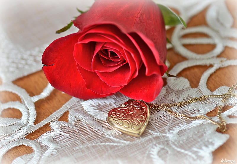 Birtay Rose for Helen (caramelie), still life, flowers, birtay, rose, HD wallpaper