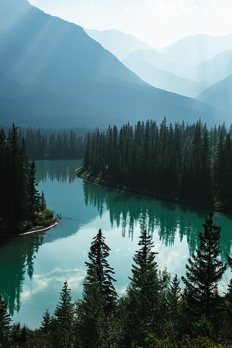 river, mountains, forest, fog, landscape, HD phone wallpaper