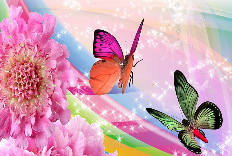 ღ.Flapping Wings with Rainbow.ღ , artistic, pretty, colorful, glow, dazzling, bonito, flapping, sweet, rainbows, splendor, green, bright, flowers, pink, butterfly designs, animals, blue, wings, lovely, colors, butterflies, shining, HD wallpaper