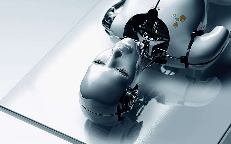 Human Robot (wds), artificial intelligence, future, gris, all is full of love, technics, bjork, robot, HD wallpaper