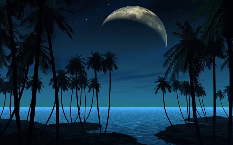 Beach at Night, beach, moon, nature, palm, trees, sea, night, HD wallpaper