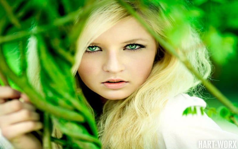 ╰╮Greenish ╰╮, pretty, forest, models, lovely, plant, blonde, faces, geen, girl, beauty, eyes, HD wallpaper