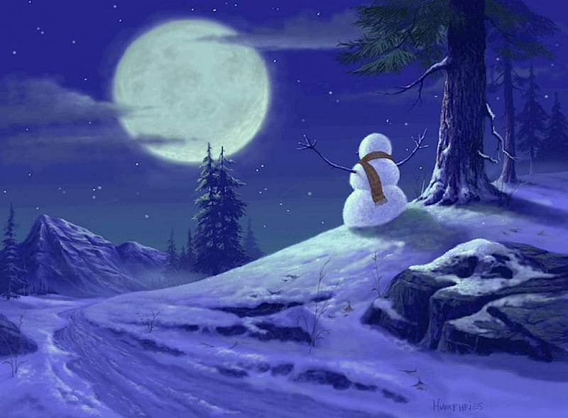 Alone and awake, humphries, bonito, snowman, winter, moon, splendor, snow, nature, field, night, HD wallpaper