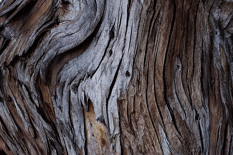 wood, texture, cranny, bark, HD wallpaper