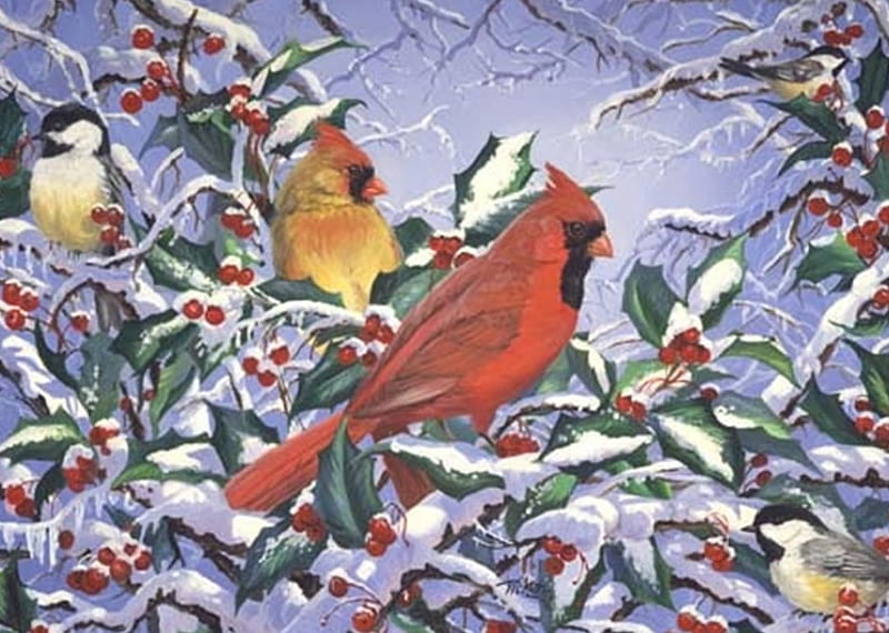 Winter cardinals, red, cardinals, berries, birds, yellow, branches, winter, snow-covered branches, HD wallpaper