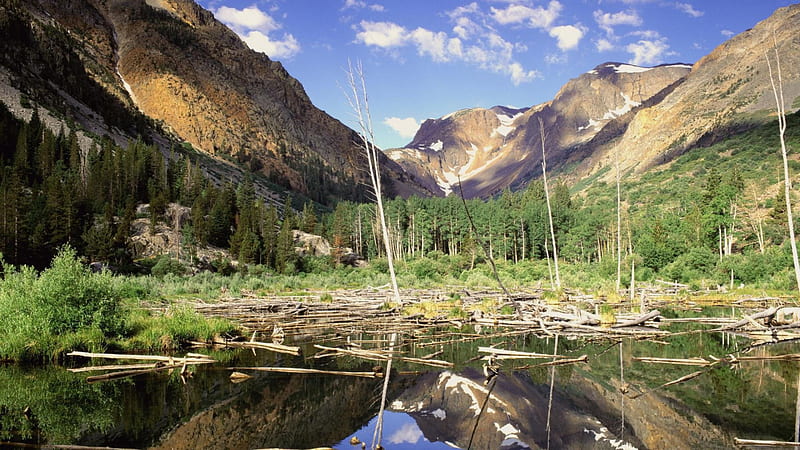 beaver pond in lundy canyon california, logs, pond, canyon, mountains, HD wallpaper