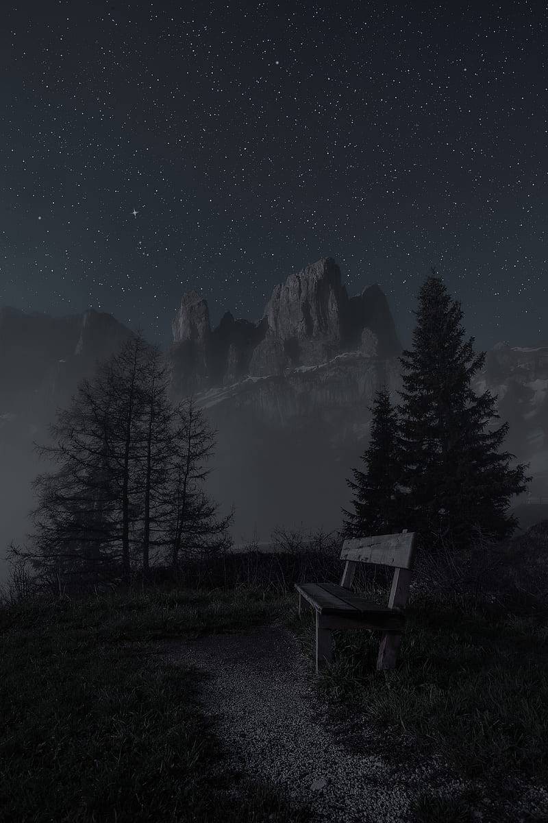 mountains, night, landscape, bench, trees, starry sky, fog, HD phone wallpaper