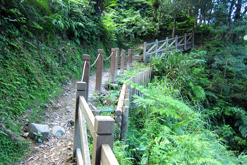 Mountain trail, mountain, trail, tree, wooden railings, HD wallpaper