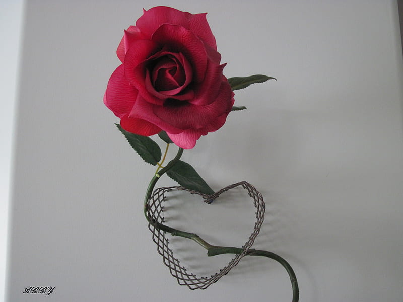 A Rose with a solid heart, metal, graphy, green, Rose, Flowers, HD wallpaper