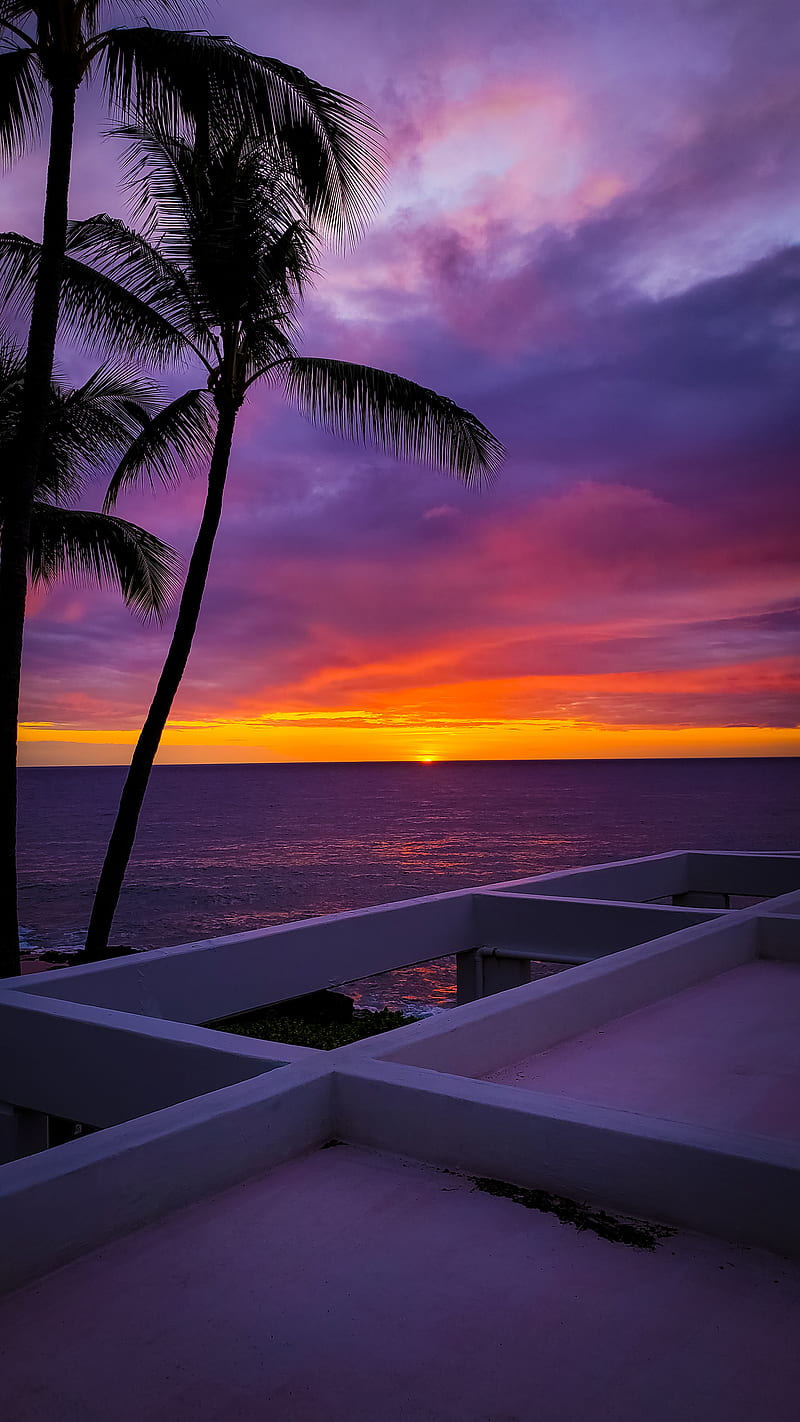 Hawaii sunset, beach, icean, tropical, HD phone wallpaper | Peakpx