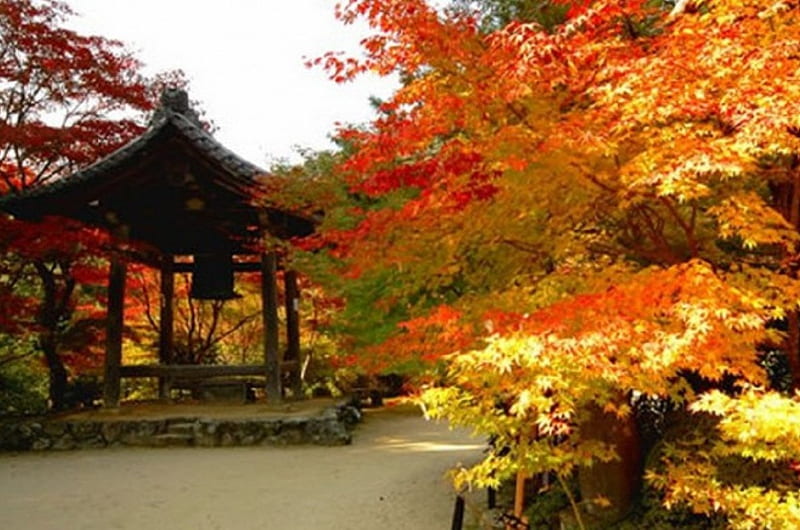 Japanese Garden in Autumn, garden, nature, japanese, autummn, HD wallpaper