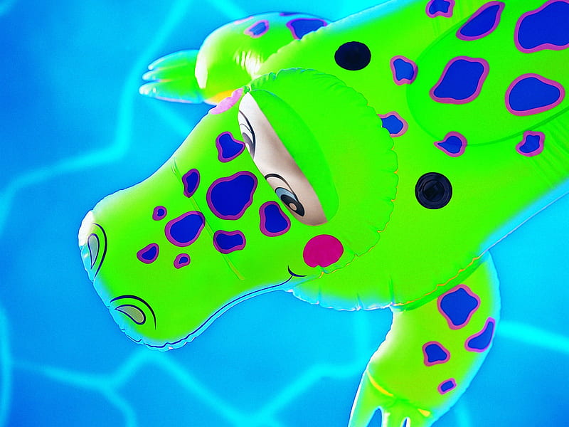Crocodile Swim - Summer Still Life graphy logo, HD wallpaper