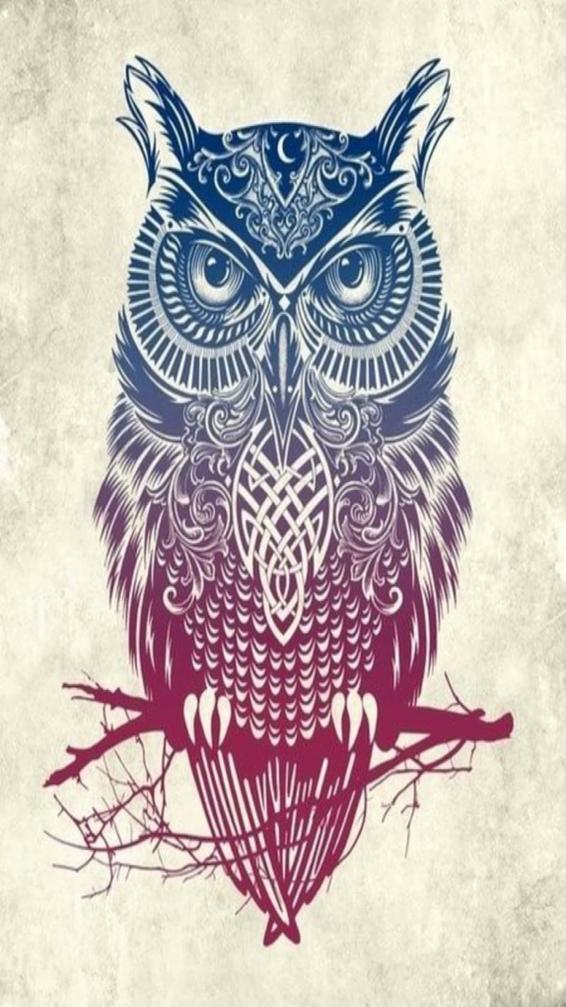 owl design, 2017, animal, art, celtic, color, cool, new, HD phone wallpaper