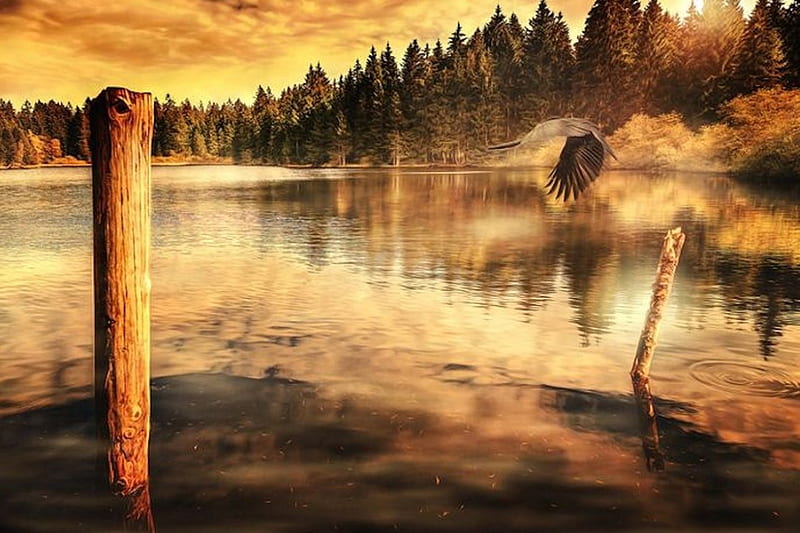 Mystic Lake, Water, Lake, brown, mystic, HD wallpaper
