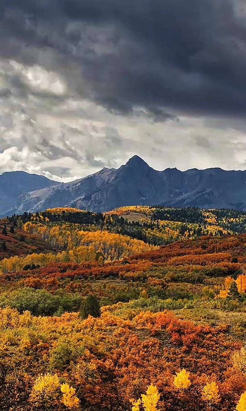 Mountains in Colorado red autumn colors yellow trees sky clouds  mountain HD wallpaper  Peakpx