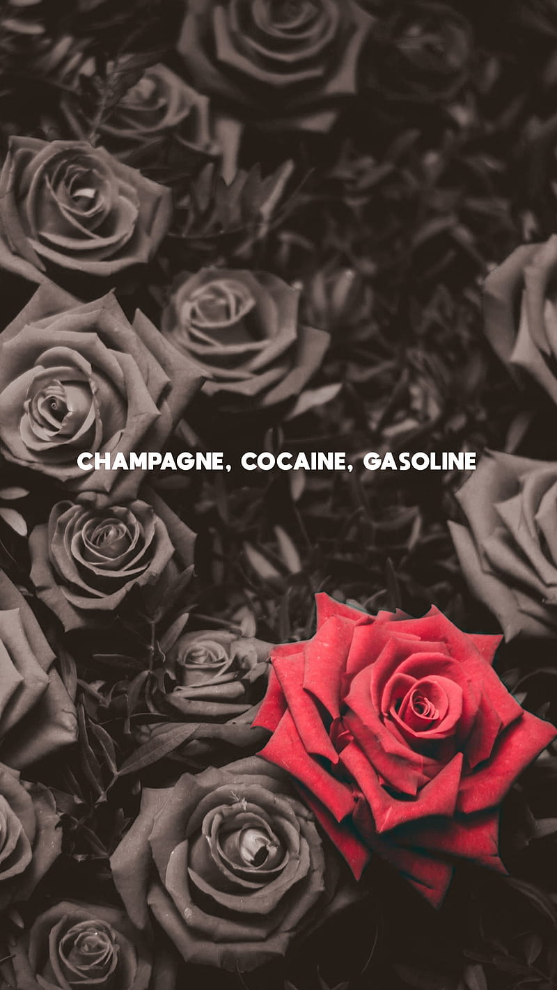 Champagne c*****e, black, red, redrose, rose, roses, say, HD phone wallpaper