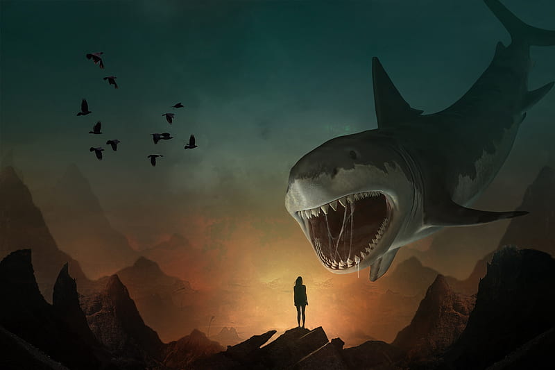 silhouette, shark, art, mouth, teeth, predator, illusion, HD wallpaper