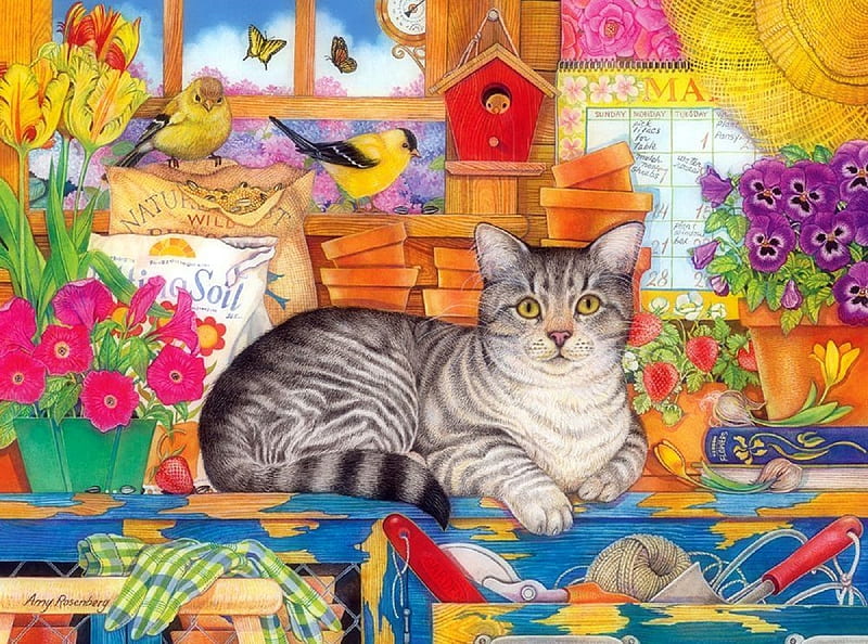 Percy the head gardener, draw and paint, colors, love four seasons, birds, cat, birdhouses, flowerpots, paintings, summer, flowers, butterfly designs, animals, HD wallpaper
