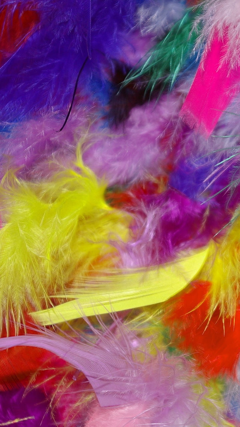 Feathers, background, colorful, HD phone wallpaper