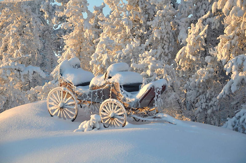Deep Winter, snow, cart, sunshine, trees, wheels, HD wallpaper