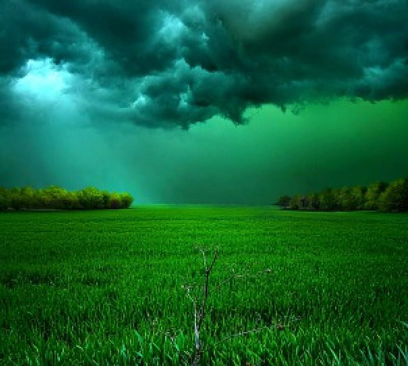 There Came A Wind, sunrays, green, dark, bonito, trees, clouds, sky, field, HD wallpaper