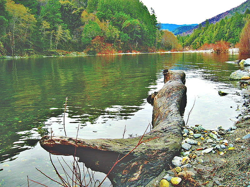 Salmon River, rocks, water, green, river, log, HD wallpaper
