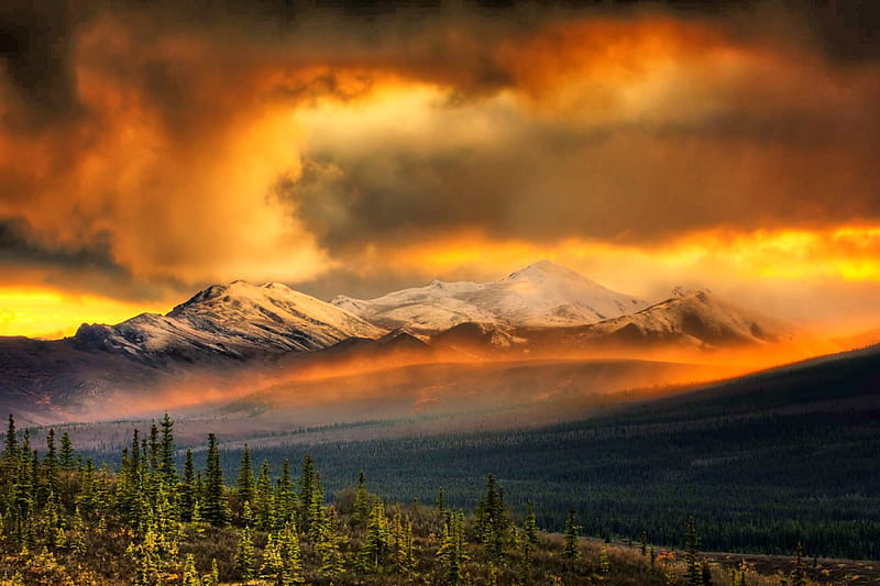 September Storm Over Denali NP, forest, orange, Alaska, National Park, burning, yellow, bonito, trees, sky, clouds, valley, white, snowy peaks, HD wallpaper