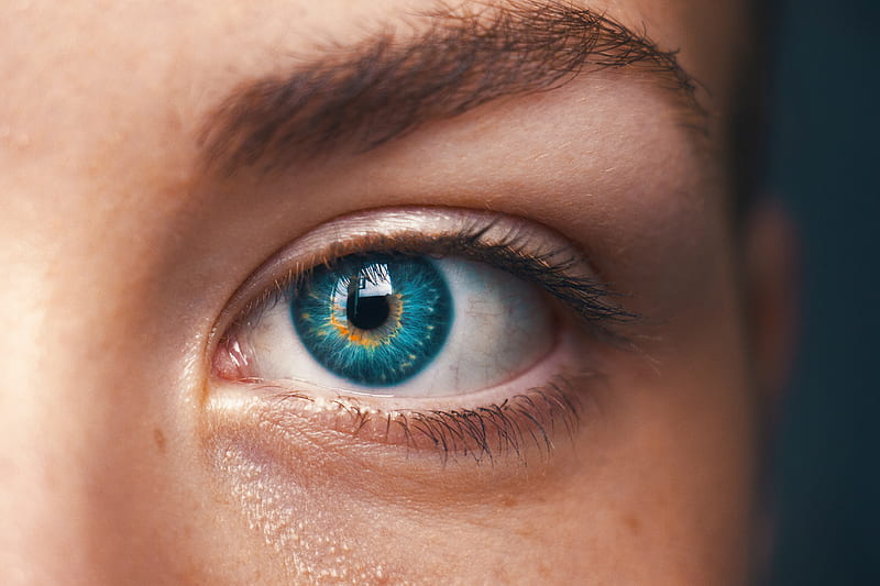 eye, blue-eyed, eyelashes, pupil, HD wallpaper