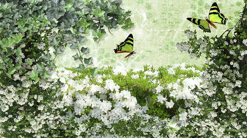 Flower Blessing, firefox persona, butterflies, spring, leaves, green, plants, summer, flowers, ivy, HD wallpaper