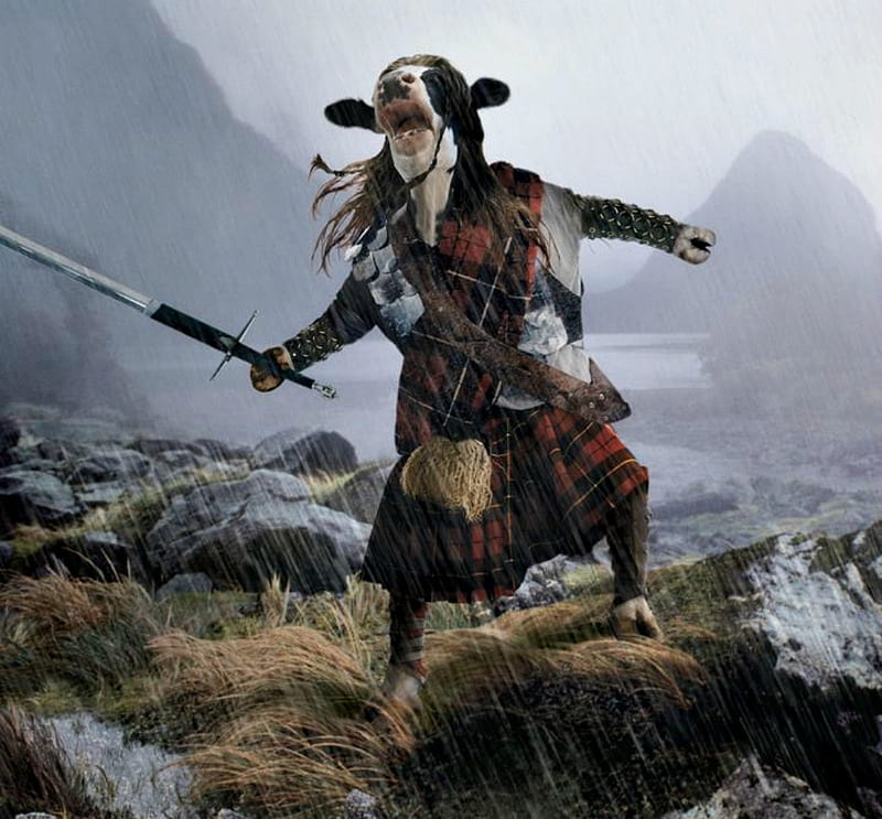 Highlander, cow, andy mahr, creative, animal, fantasy, add, funny, commercial, HD wallpaper