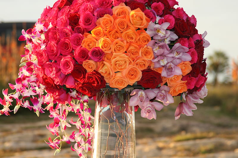 Big boutque of Flowers, orange, peas, sweet, red, bouquet, flower, HD wallpaper