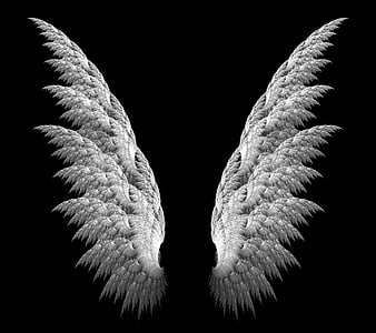 Angel Wings, black, white, HD wallpaper