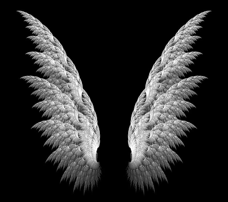 Angel Wings, black, white, HD wallpaper