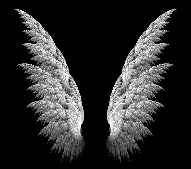 1920x1080px, 1080P free download | Angel Wings, black, white, HD ...