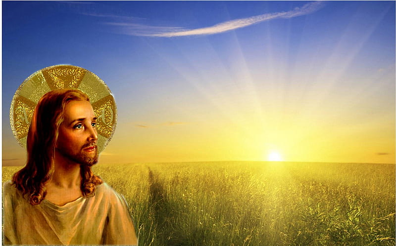 Jesus Christ, christ, jesus, sun, god, field, HD wallpaper | Peakpx