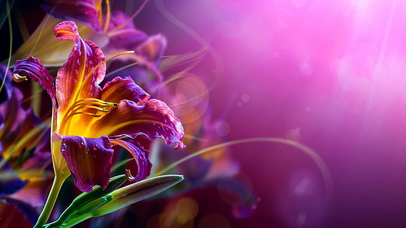 Điểm nhấn hoa màu tím và vàng sẽ làm cho nền máy tính của bạn trở nên tươi sáng và thú vị hơn như không gian sống. Hãy hòa mình vào với màu sắc và hơi thở của thiên nhiên thông qua những hình nền hoa màu tím và vàng này.