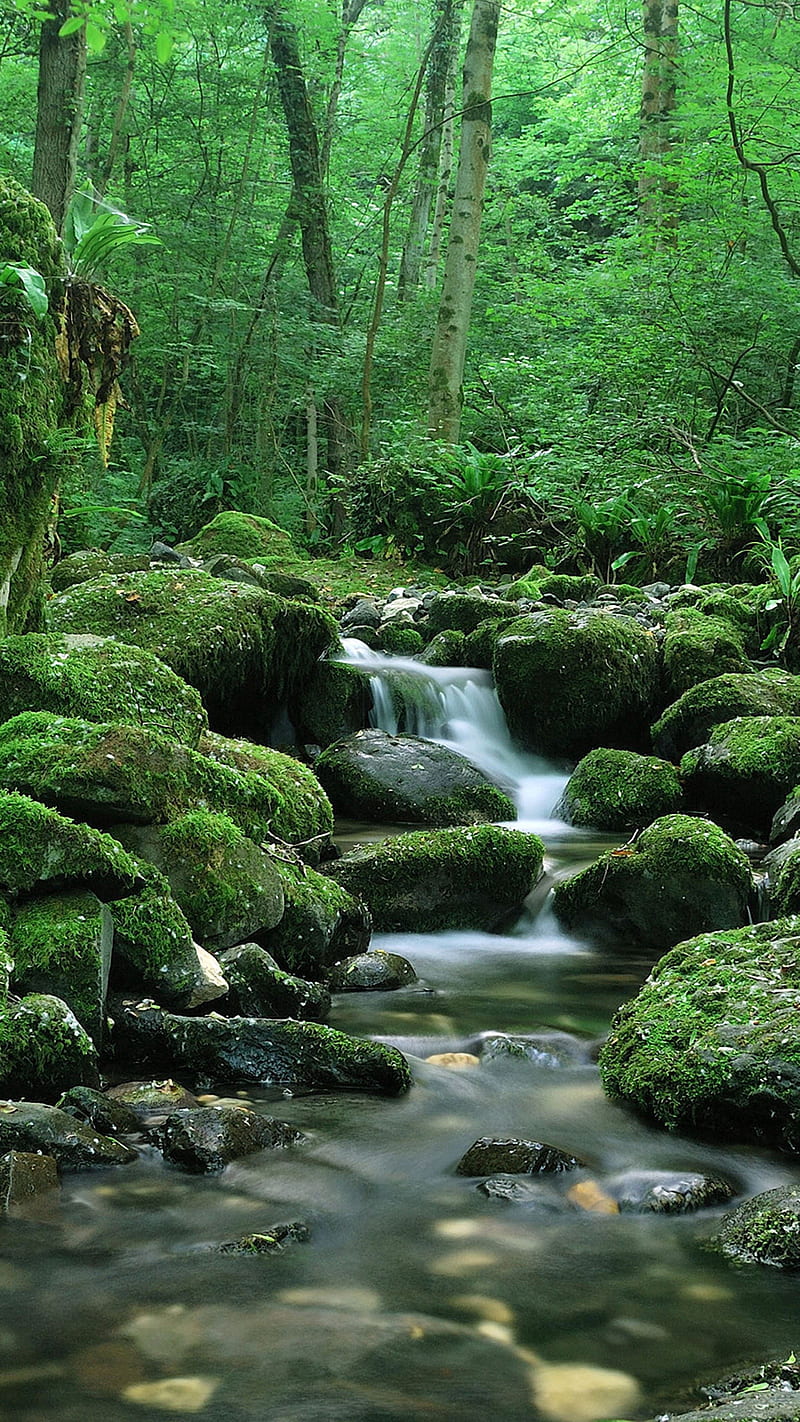 waterfall, stones, flow, moss, HD phone wallpaper