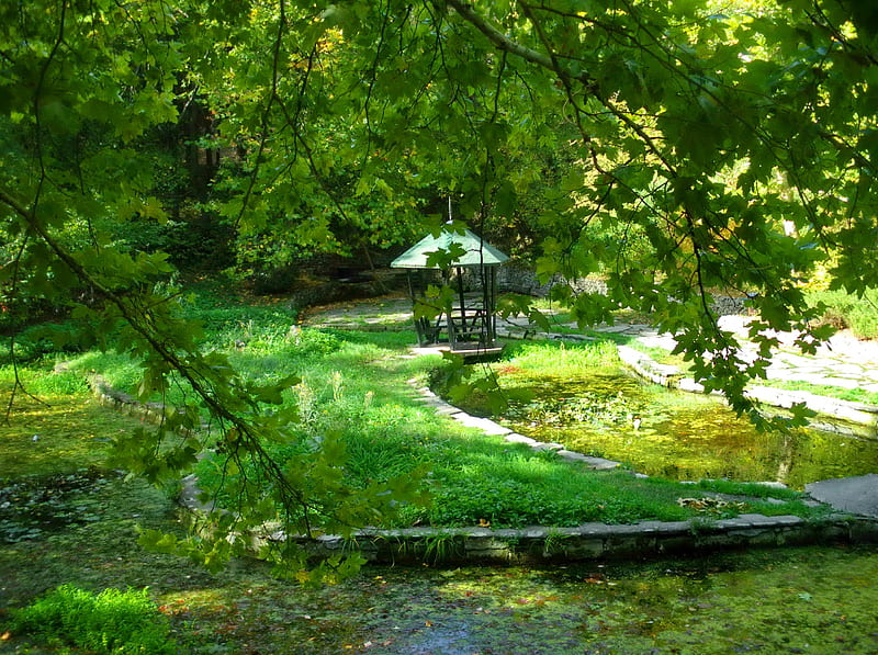 Small forest gazebo, stream, pretty, grass, bonito, small, nice, calm, green, river, rest, forest, lovely, view, relax, greenery, park, creek, country, trees, water, serenity, peaceful, summer, nature, gazebo, branches, HD wallpaper