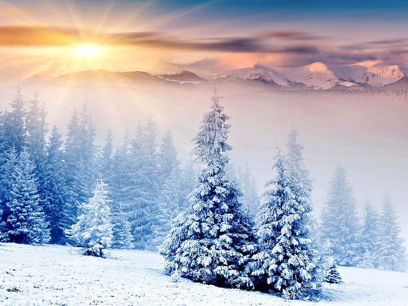 Winter Time, foggy, sun, sunset, magic, clouds, snowy, fog, splendor, beauty, sunrise, lovely, sky, trees, winter, sunrays, snow, rays, mountains, white, landscape, woods, bonito, forest, amazing, view, sunlight, colors, mist, tree, peaceful, nature, misty, HD wallpaper