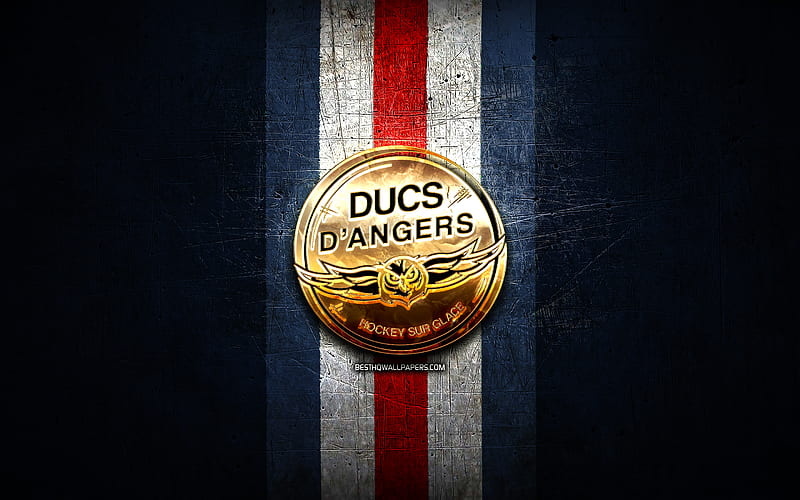Ducs DAngers, golden logo, Ligue Magnus, blue metal background, french hockey team, french hockey league, Ducs DAngers logo, hockey, HD wallpaper