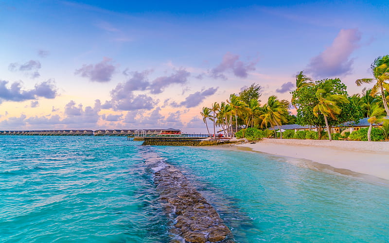 tropical beach, ocean, blue lagoon, tropical islands, palms, Maldives, morning, sunrise, HD wallpaper