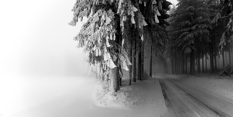 graphy, Black & White, Nature, Road, Snow, Tree, Winter, HD wallpaper