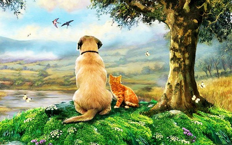 Dog and kitten looking the horizon, tree, kitten, cat, dog, HD wallpaper