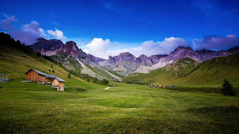 lovely houses on a spring meadow in the alps, house, grass, mountains, sprig, clouds, meadow, HD wallpaper
