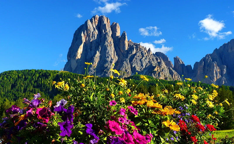 Dolomites-Italy, rocks, pretty, colorful, grass, bonito, mountain, nice, cliffs, wildflowers, flowers, dolomites, italy, lovely, mountainscape, sky, summer, nature, HD wallpaper