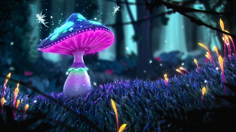 Magical mushroom, forest, luminos, mushroom, magic, daniel linard, fantasy, pink, fairy, blue, HD wallpaper